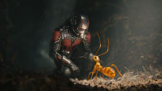 Ant-Man was one of the summer's most successful films.