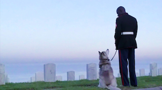 Storey with his dog, Woja, honoring fallen soldiers.