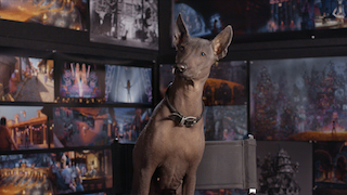 The first Noovie Backlot segment for Disney-Pixar’s Coco will feature a real-life Xolo dog going on an adventure at Pixar studios – playing catch, making friends, grabbing lunch, and living his best life – just like the animated Xolo dog Dante in the film.