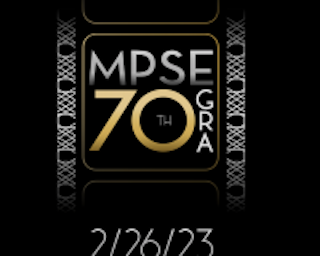 The Motion Picture Sound Editors association has announced its nominees for the 70th Annual MPSE Golden Reel Awards.